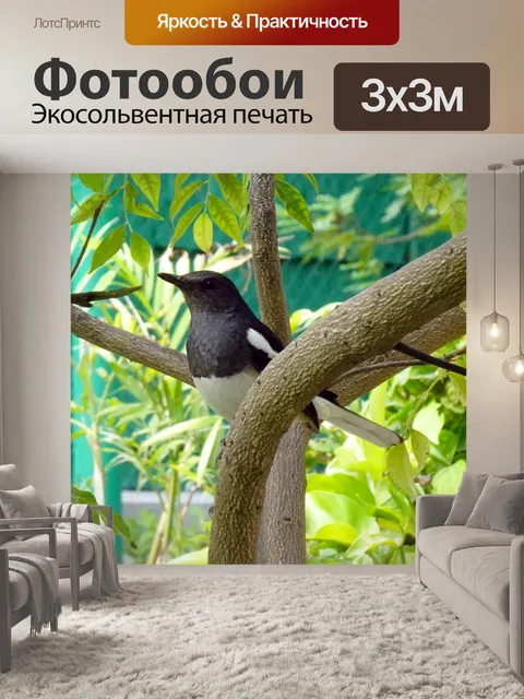 Фотообои Птица
