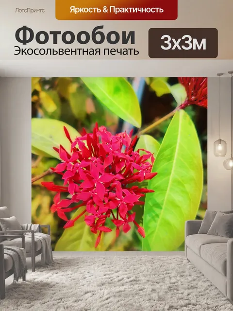Фотообои Цветок