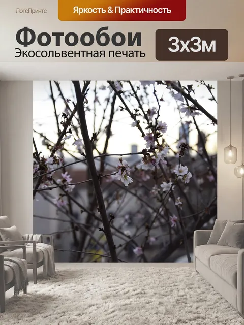 Фотообои Цветы