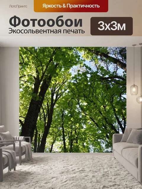 Фотообои Деревья