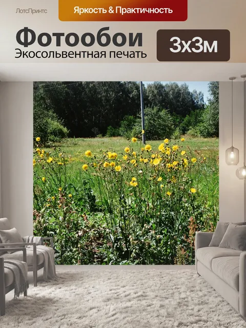 Фотообои Цветы