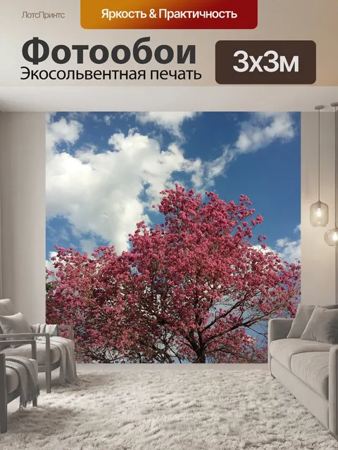 Фотообои Лапачо