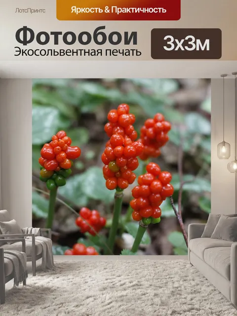 Фотообои Лес