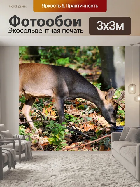 Фотообои Олень
