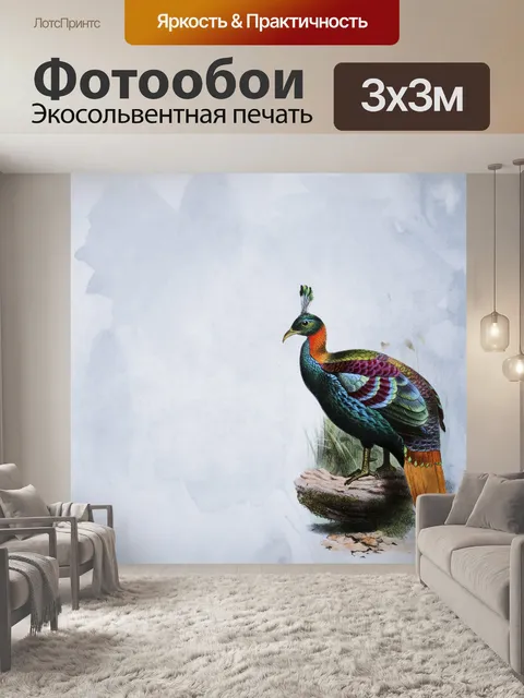 Фотообои Павлин Красочный фон