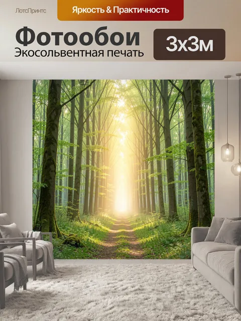 Фотообои Солнечная лесная тропа