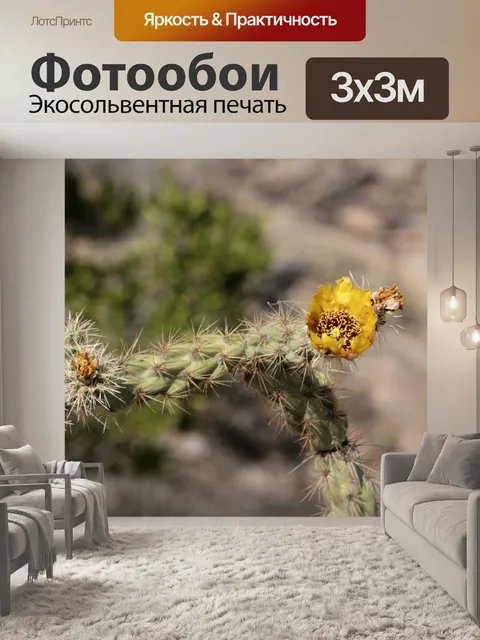 Фотообои Желтые цветы кактусов