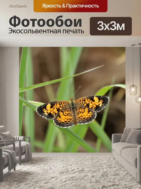 Фотообои Серебристая клетчатая бабочка 5