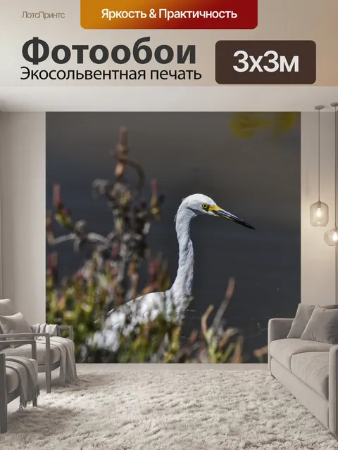 Фотообои Снежная цапля в поле