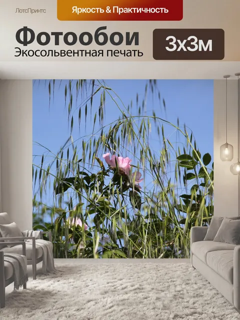 Фотообои Роза