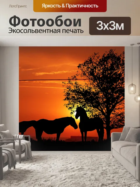 Фотообои Заход солнца