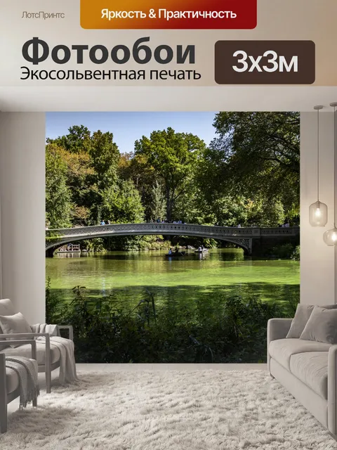 Фотообои Центральный парк Боу-Бридж