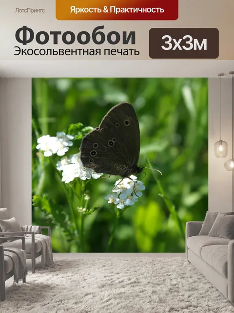 Фотообои Бабочка