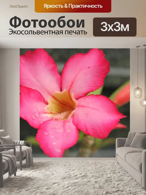 Фотообои цветок 4