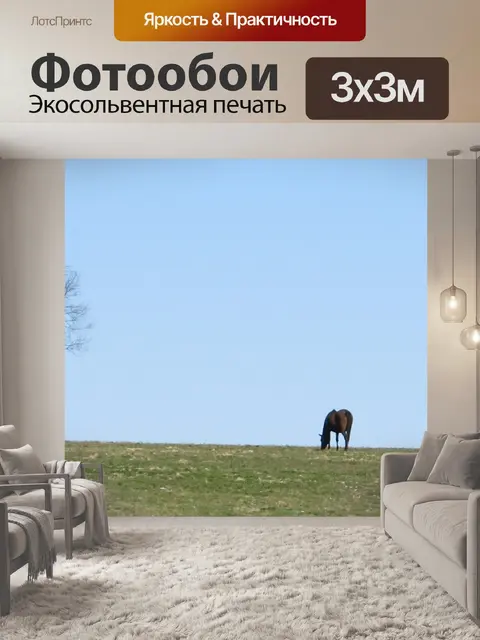 Фотообои Кентукки породистых лошадей Grazin