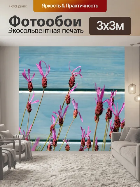 Фотообои Лаванда