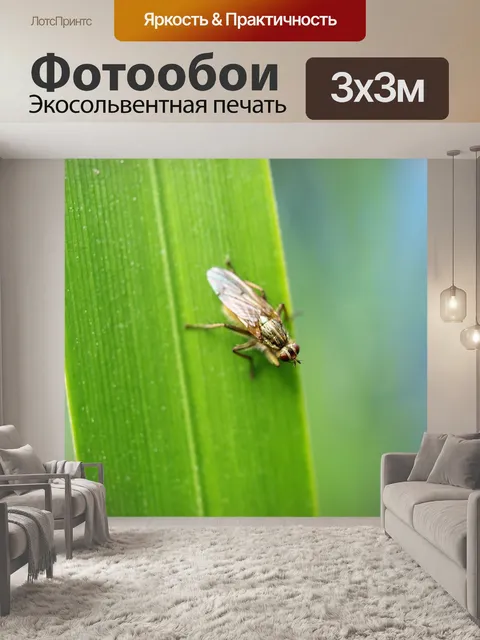 Фотообои Летать