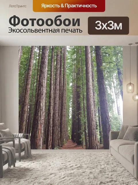 Фотообои Лес