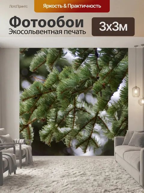 Фотообои ветки сосны зимой