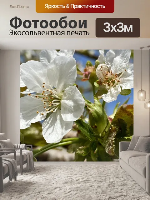 Фотообои Блоссом