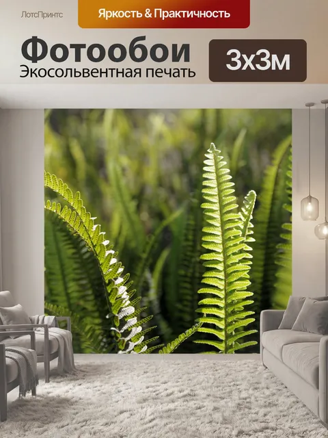 Фотообои Папоротники в саду