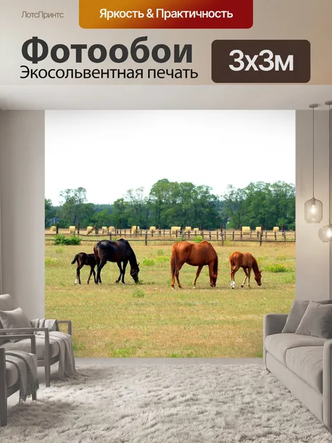 Фотообои Лошади