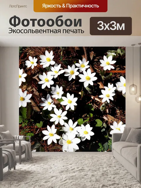 Фотообои Цветы