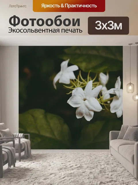 Фотообои Цветок