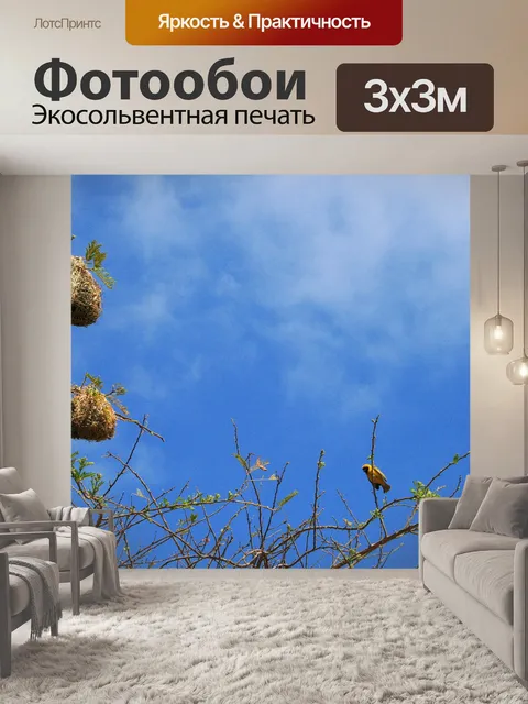 Фотообои желтая птица-ткач в маске