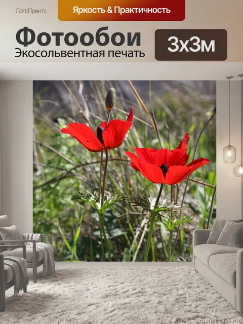 Фотообои Цветы