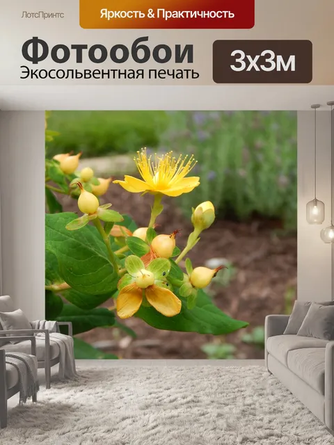 Фотообои Цветы