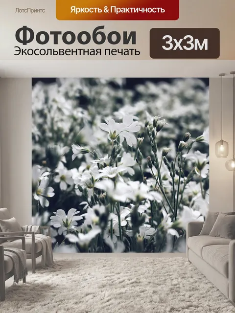 Фотообои Поле