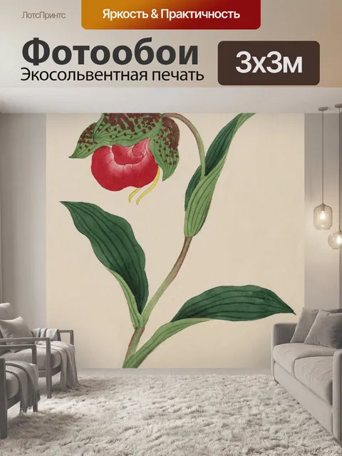 Фотообои Цветы
