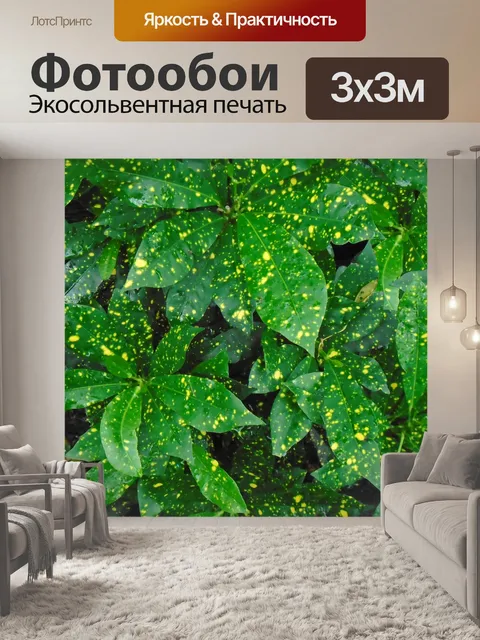 Фотообои Листья