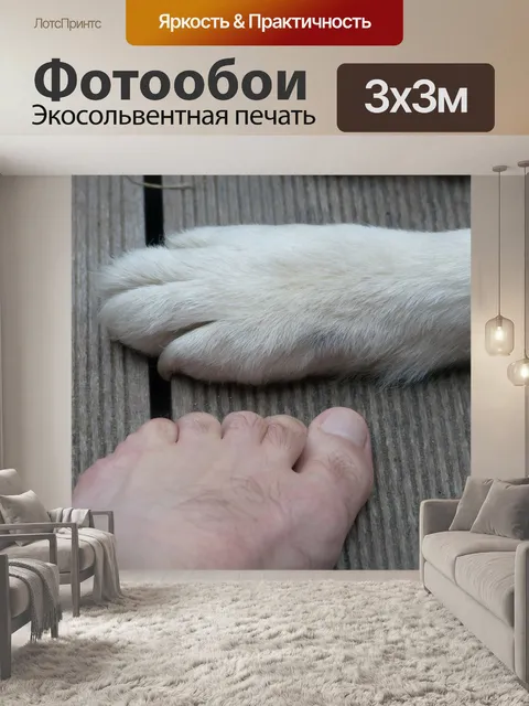 Фотообои Лапы