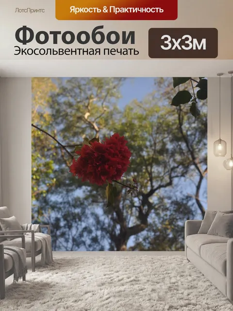 Фотообои Цветок сердца