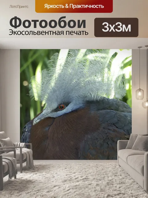Фотообои Птицы