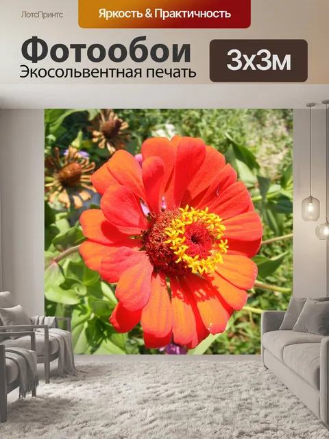 Фотообои Цветы