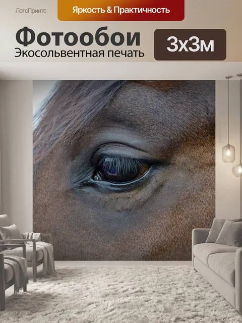 Фотообои Лошадь