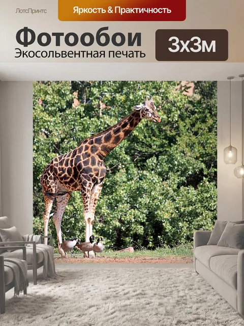 Фотообои Я тебя прикрою