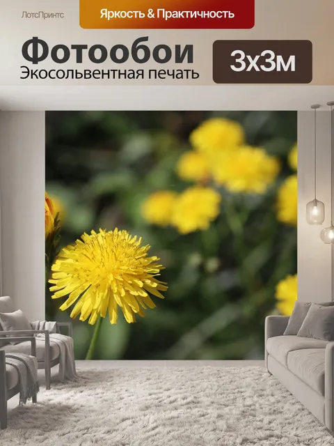 Фотообои Цветы