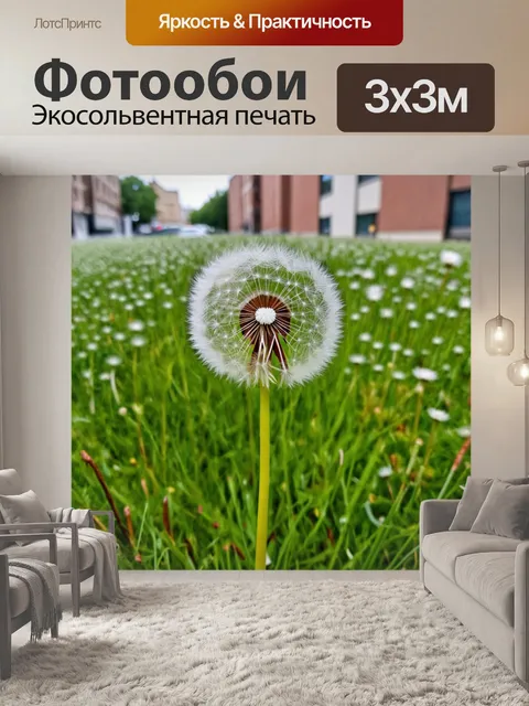 Фотообои одуванчики в городской среде