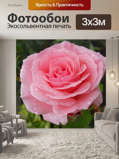 Фотообои Цветы