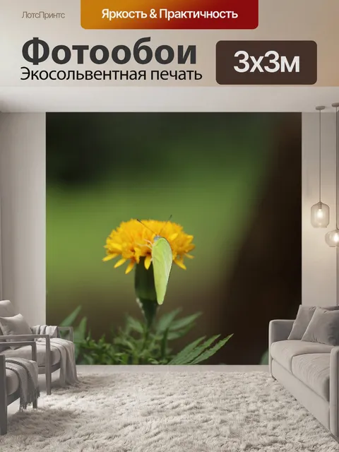 Фотообои Цветок