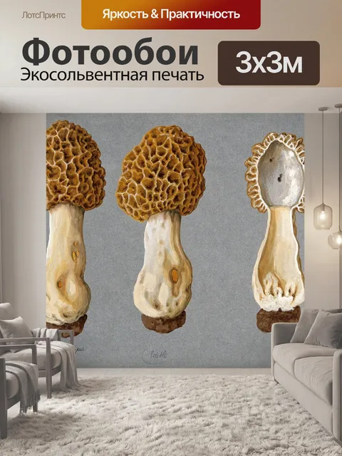 Фотообои Винтажная иллюстрация чемпиона грибов