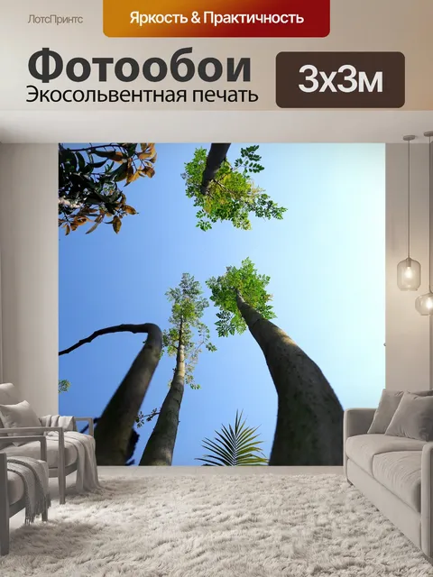 Фотообои Небо