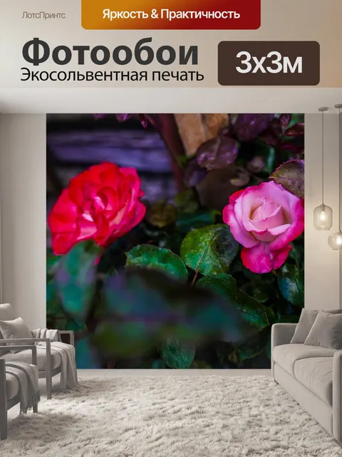 Фотообои Цветы