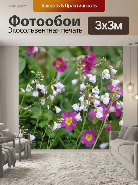 Фотообои Цветы