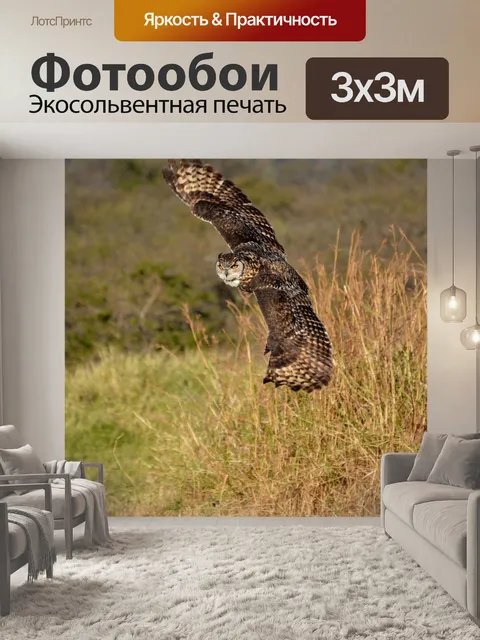 Фотообои Сова