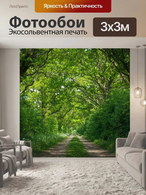 Фотообои Лес